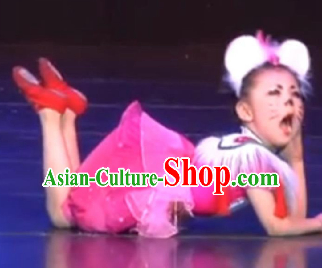 Chinese Lunar New  Year Rat Dance Costume