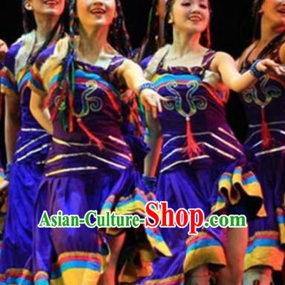 Traditional Chinese Zang Nationality Dance Costume Ethnic Stage Show Purple Dress for Women