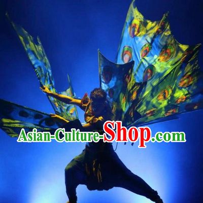 Chinese Dynamic Yunnan Ethnic Peacock Dance Stage Performance Costume for Men