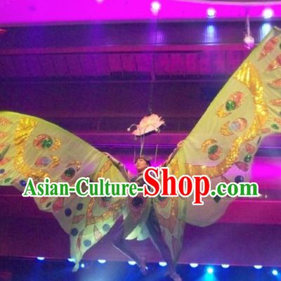 Chinese Back to Song Dynasty Classical Butterfly Dance Dress Stage Performance Costume for Women