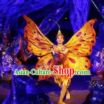 Chinese Xijiang Grand Ceremony Classical Butterfly Dance Dress Stage Performance Costume and Headpiece for Women