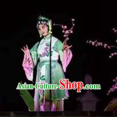 Chinese The Dream Of The Peony Pavilion Opera Maidservant Dance Green Dress Stage Performance Costume and Headpiece for Women
