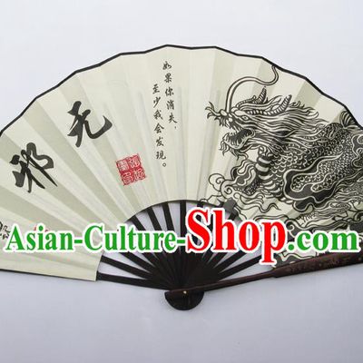 Chinese Handmade Painting Dragon Wu Xie Fans Accordion Fan Traditional Decoration Folding Fan