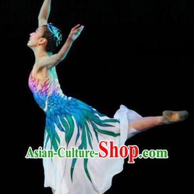 Chinese Female Embroider Classical Dance Dress Stage Performance Costume and Headpiece for Women