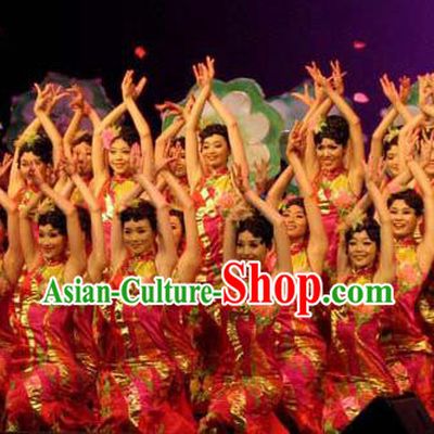 Chinese South Beauty Classical Dance Rosy Dress Stage Performance Costume and Headpiece for Women