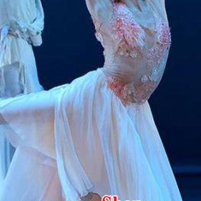 Crested Ibises Chinese Classical Dance White Dress Stage Performance Dance Costume and Headpiece for Women