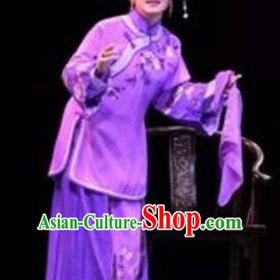 Chinese Moon Shines On Sugarbush Ferry Dance Purple Dress Stage Performance Dance Costume and Headpiece for Women