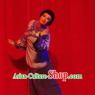 Chinese Moon Shines On Sugarbush Ferry Dance Maidservant Purple Dress Stage Performance Dance Costume and Headpiece for Women