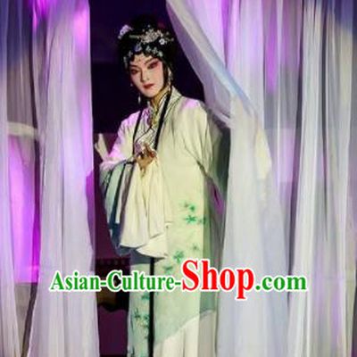 Chinese Peking Opera Lanruo Temple Fairy Nie Xiaoqian Dress Stage Performance Dance Costume and Headpiece for Women