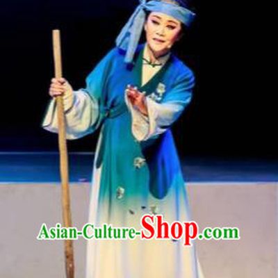 Huang Ye Hong Lou Chinese Peking Opera Civilian Blue Dress Stage Performance Dance Costume and Headpiece for Women