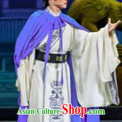 Chinese Bronze Swallow Terrace Prince Clothing Stage Performance Dance Costume for Men