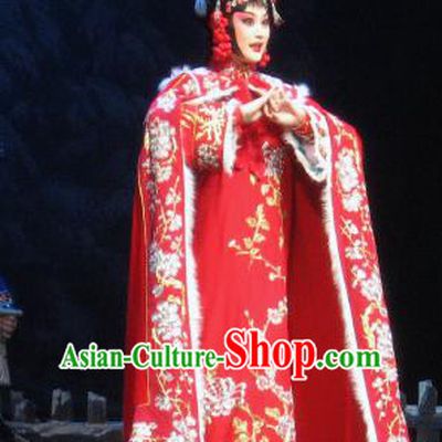 Su Wu In Desert Chinese Peking Opera Imperial Consort Red Dress Stage Performance Dance Costume and Headpiece for Women
