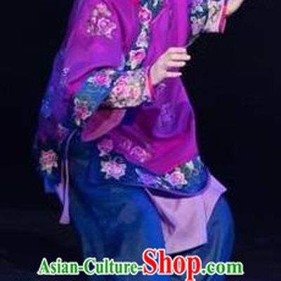 Drama Lan Huahua Chinese Folk Dance Old Female Purple Dress Stage Performance Dance Costume and Headpiece for Women