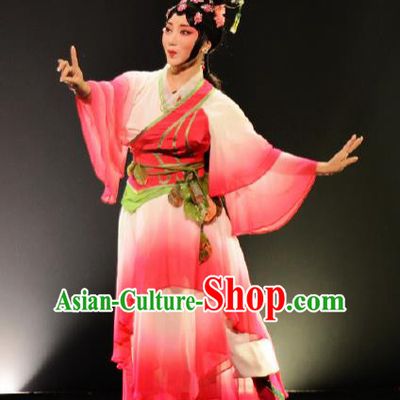 Goddess of the Moon Chinese Peking Opera Diva Rosy Dress Stage Performance Dance Costume and Headpiece for Women
