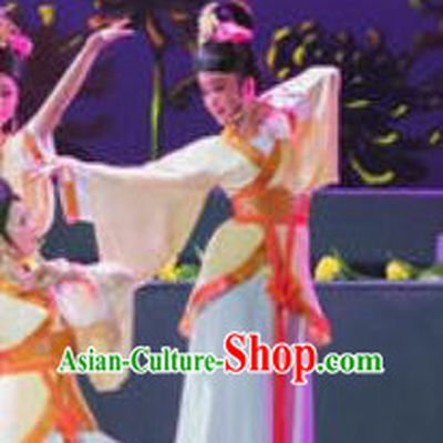 Amber Fate Chinese Beijing Opera Palace Lady Dress Stage Performance Dance Costume and Headpiece for Women
