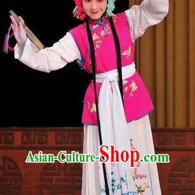 Chinese Traditional Beijing Opera Young Lady Dress Ancient Maidservants Costume for Adults