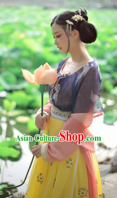 Chinese Ancient Traditional Tang Dynasty Court Maid Historical Costumes Complete Set Chinese Ancient Traditional Tang Dynasty Court Maid Historical Costumes Complete Set