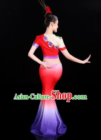 Chinese Traditional Ethnic Peacock Dance Costume Dai Nationality Folk Dance Dress for Women Chinese Traditional Ethnic Peacock Dance Costume Dai Nationality Folk Dance Dress for Women