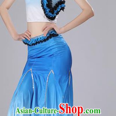 Chinese Traditional Classical Dance Blue Dress Stage Performance Peacock Dance Costume for Women