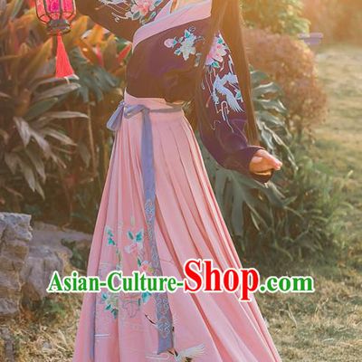 Chinese Ancient Embroidered Hanfu Dress Ming Dynasty Young Lady Traditional Historical Costume for Women