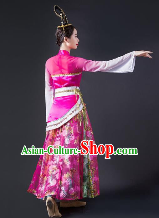Chinese Traditional Classical Dance Costume Palace Peri Dance Rosy Dress for Women
