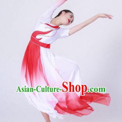 Chinese Traditional National Dance Clothing Classical Dance Red Costume for Women