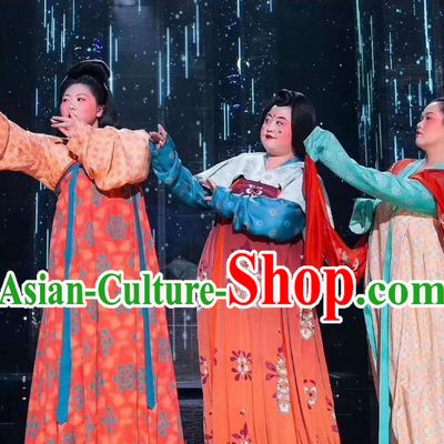 Ancient Chinese Tang Lady Costumes Dresses 3 Sets