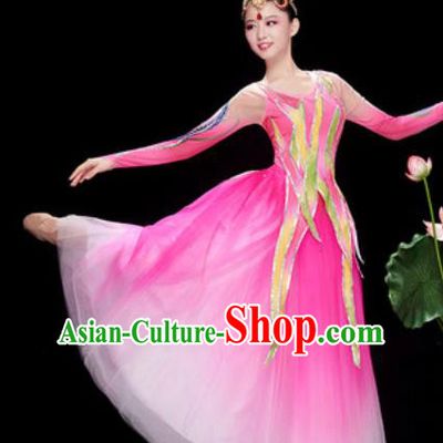 Chinese Traditional Spring Festival Gala Costume National Classical Dance Rosy Veil Dress for Women