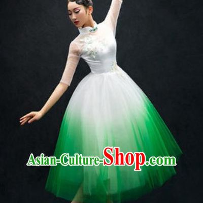 Chinese Classical Dance Costume Traditional Modern Dance Green Veil Dress for Women