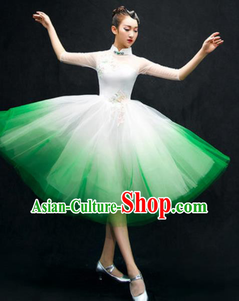 Chinese Classical Dance Costume Traditional Modern Dance Green Veil Dress for Women