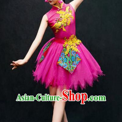Chinese Classical Dance Costume Traditional Folk Dance Rosy Veil Dress for Women