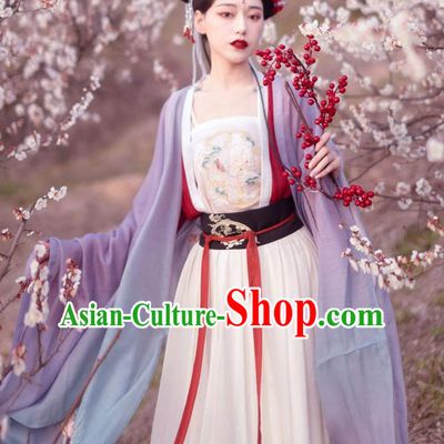 Chinese Ancient Imperial Consort Historical Costume Traditional Song Dynasty Court Embroidered Hanfu Dress for Women