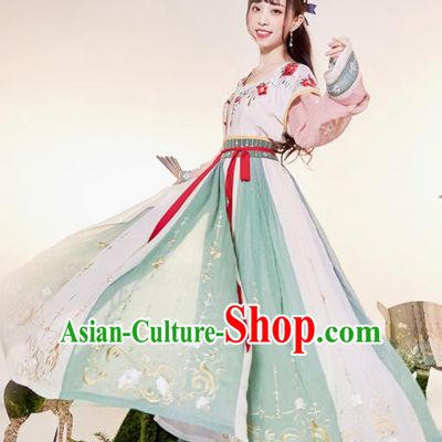 Traditional Chinese Tang Dynasty Palace Princess Embroidered Hanfu Dress Ancient Drama Court Dancer Historical Costume for Women