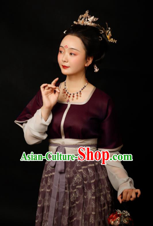 Chinese Traditional Tang Dynasty Imperial Consort Hanfu Dress Ancient Drama Court Lady Replica Costumes for Women Chinese Traditional Tang Dynasty Imperial Consort Hanfu Dress Ancient Drama Court Lady Replica Costumes for Women