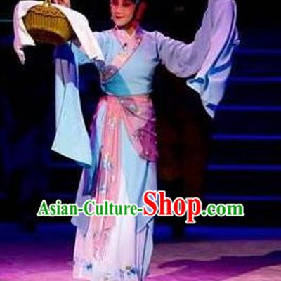 Traditional Chinese Classical Dance Bai Gujing Costume Journey to the West Dance Dress for Women