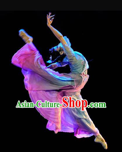 Traditional Chinese Classical Dance Dian Jiang Chun Costume Solo Ballet Dance Dress for Women Traditional Chinese Classical Dance Dian Jiang Chun Costume Solo Ballet Dance Dress for Women