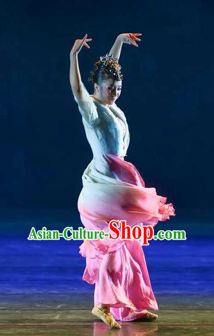 Traditional Chinese Classical Dance Dian Jiang Chun Costume Solo Ballet Dance Dress for Women Traditional Chinese Classical Dance Dian Jiang Chun Costume Solo Ballet Dance Dress for Women