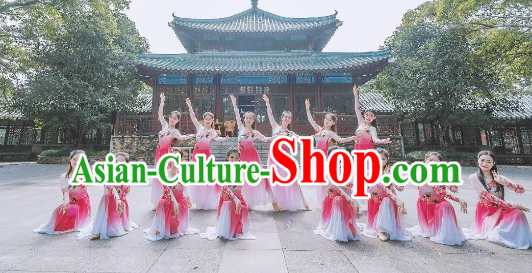 Traditional Chinese Classical Dance Fu Sheng Ci Costume Beautiful Dance Pink Dress for Women