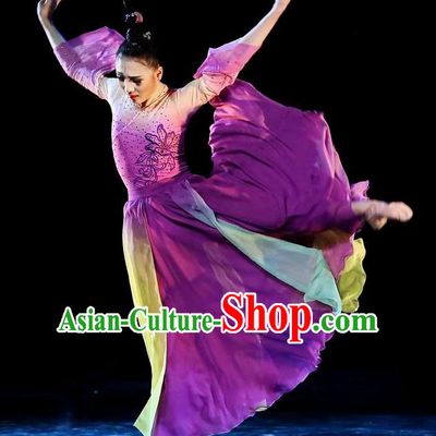 Traditional Chinese Classical Dance Qie Kan Xing Yun Costume Stage Show Beautiful Dance Purple Dress for Women