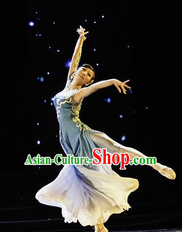 Traditional Chinese Classical Dance Que Qiao Xian Costume Ballet Stage Show Beautiful Dance Dress for Women Traditional Chinese Classical Dance Que Qiao Xian Costume Ballet Stage Show Beautiful Dance Dress for Women