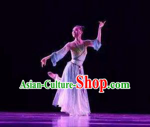 Beautiful Chinese Dance Pear Flower Dance Costume Traditional Classical Dance Dress for Women
