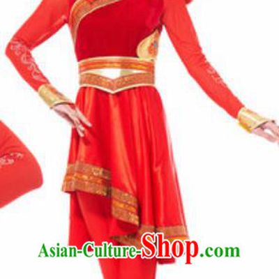 Traditional Chinese Mongol Ethnic Costume Mongolian Nationality Minority Dance Red Dress for Women