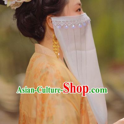 Chinese Classical Ancient Palace Lady Face Veil Hanfu Wigs Tang Dynasty Imperial Concubine White Chiffon Veil Mask Accessories