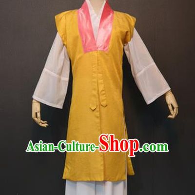 Traditional China Ming Dynasty Maidservant Costume Ancient Drama The Dream of Red Mansions Beauty Qing Wen Clothing