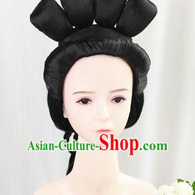 Chinese Cosplay Noble Woman Wigs Best Quality Wigs China Wig Chignon Ancient Ming Dynasty Countess Wig Sheath
