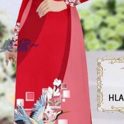Traditional Vietnamese Printing Magnolia Crane Red Ao Dai Qipao Dress and Pants Asian Vietnam Stage Show Cheongsam Costumes
