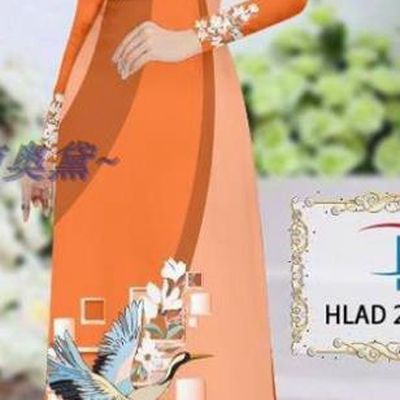 Traditional Vietnamese Printing Magnolia Crane Orange Ao Dai Qipao Dress and Pants Asian Vietnam Stage Show Cheongsam Costumes