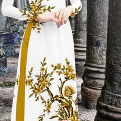 Vietnam Traditional Costume Vietnamese Ao Dai Qipao Dress with Ginger Loose Pants