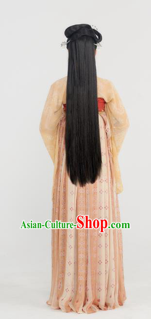 China Tang Dynasty Court Lady Historical Clothing Ancient Princess Garment Traditional Hanfu Dress China Tang Dynasty Court Lady Historical Clothing Ancient Princess Garment Traditional Hanfu Dress