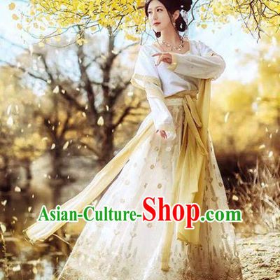 China Classical Dance Clothing Ancient Tang Dynasty Palace Princess Historical Costumes